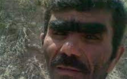 pakistanci