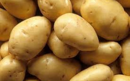Batatas