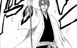 Shikai and bankai