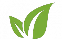 ABANICOS