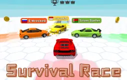 Survival Race