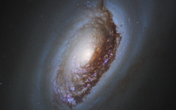 Galaxies