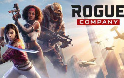 Rogue Niggas