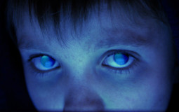 Porcupine Tree Albums / EPs