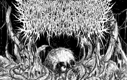 Goregrind Albums