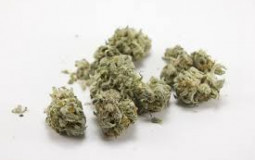 Drugs that ive done