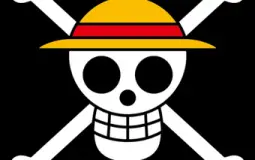 Straw Hat Pirate Ranking