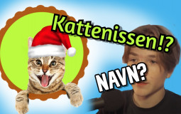Kattenissen