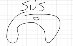 Susssus Ammogus