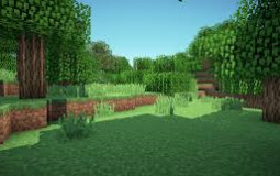 Realms