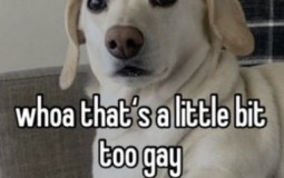 Ultimate Bottom