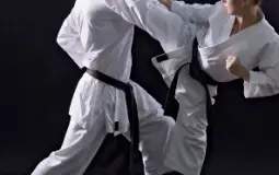 Martial Arts ranking (For self defense)