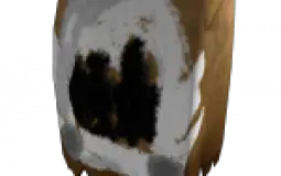 Roblox Dominus Rating