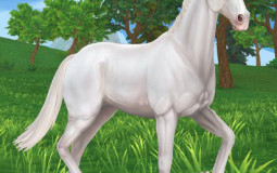 Star Stable generation 3 horses