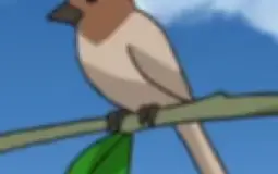 Woo420