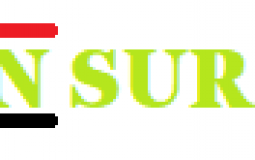 Royals SMP clan tier lists: Strength