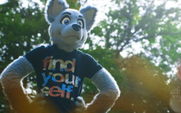 Most to least furry