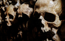 cannibalism type tier list