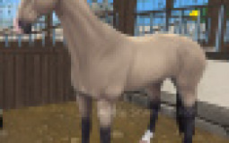 Star stable online