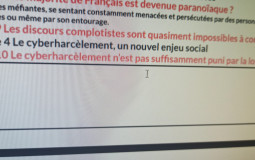 Prof