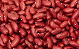 BEANS