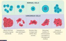 Cancers