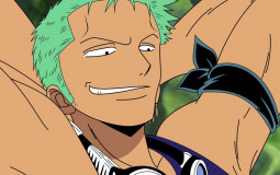 one piece waifu
