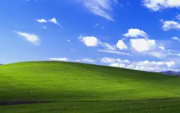 bruh