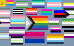 Pride flags