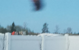 Trampoline flips