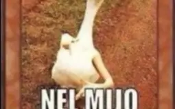 Los Wea