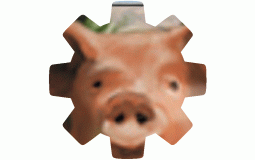 COG server game