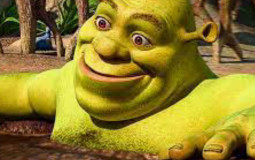 Valo Rank