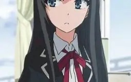 Mywaifulist