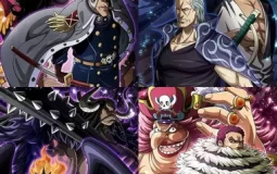 Niveau one piece