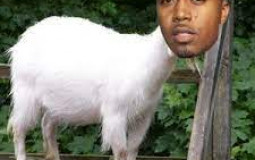 Nas albums