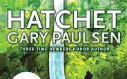 Ranking book series