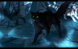 Best warrior cats Tier List Maker - TierLists.com