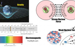 Fundamental Forces