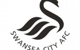Swansea Strikers of Recent Years
