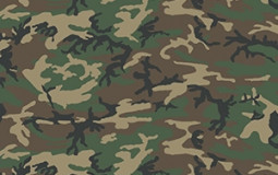 Camouflage Patterns