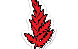 Red Fern Food