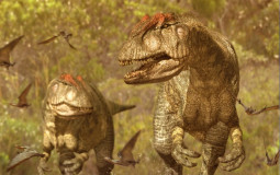 Late Jurassic Dinosaurs