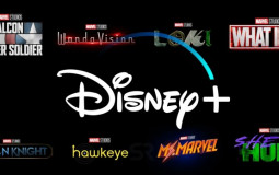 D+ MCU