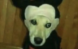 monke