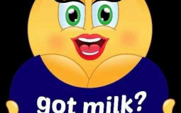 milk