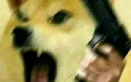Animaux en SVT