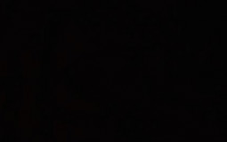 Anime Tier List