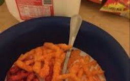 struggle'O's