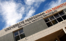 Prof